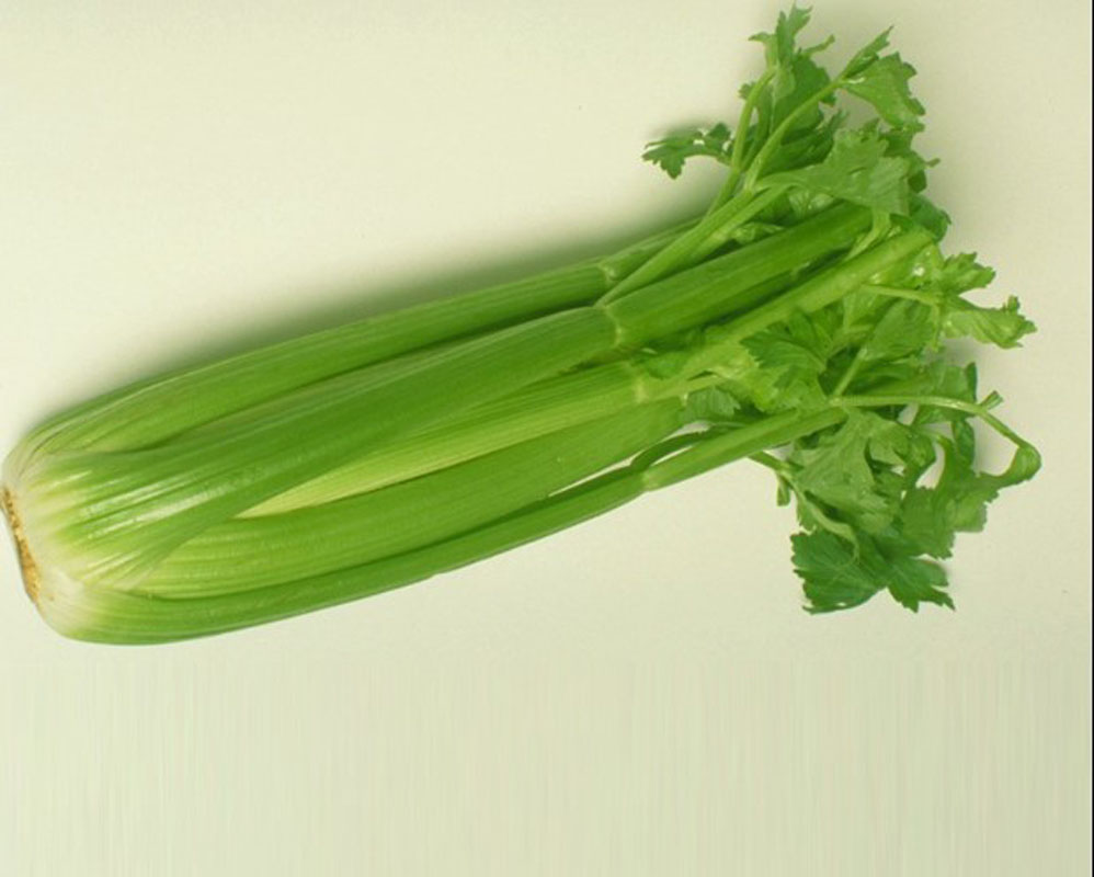 美国西芹 american parsley